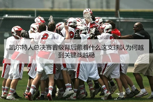 img_1780365582818_4_2_694.jpg